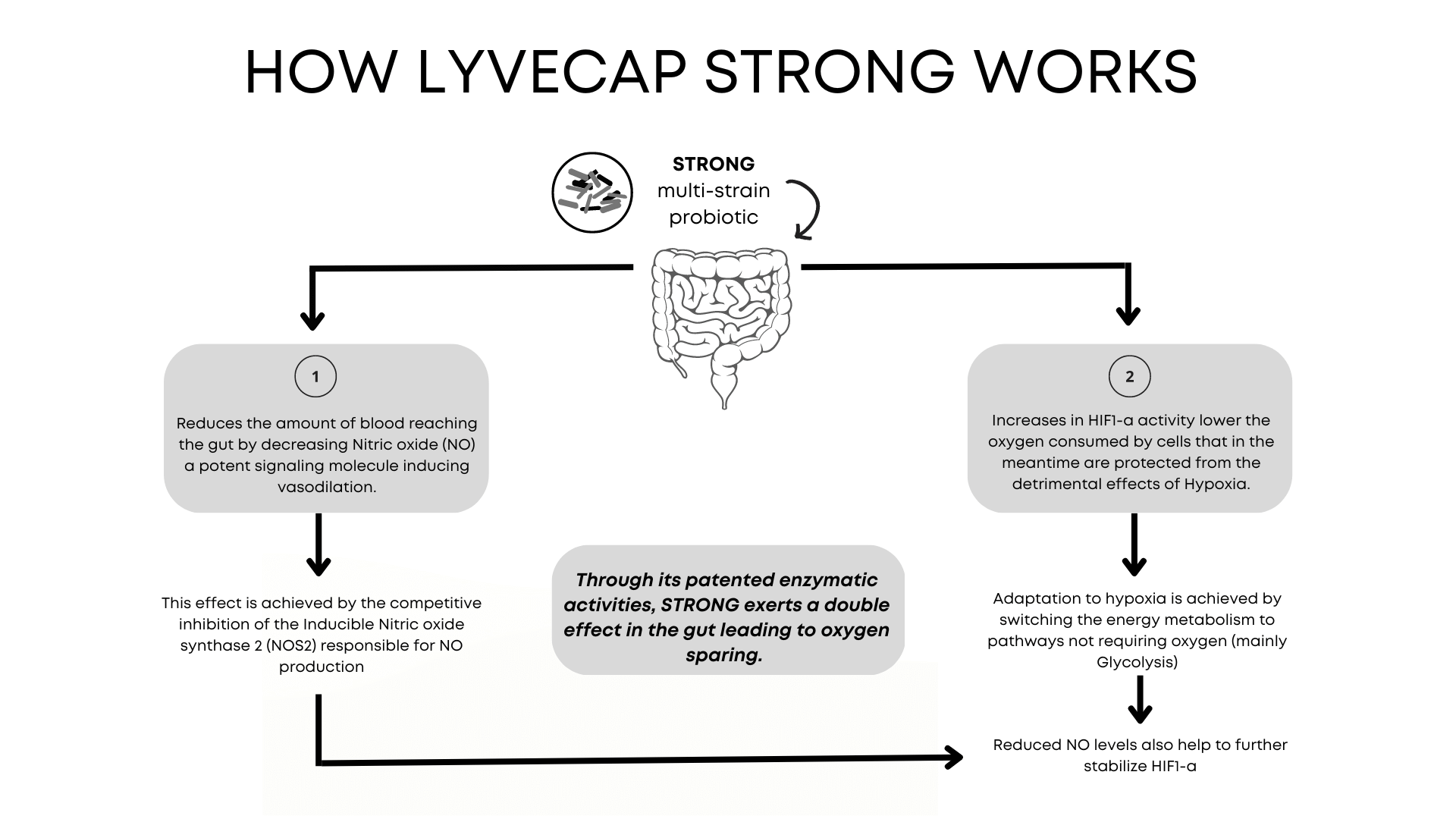 a diagram of how Lyvecap STRONG works / a top tip for How to stay health on long-haul flights 