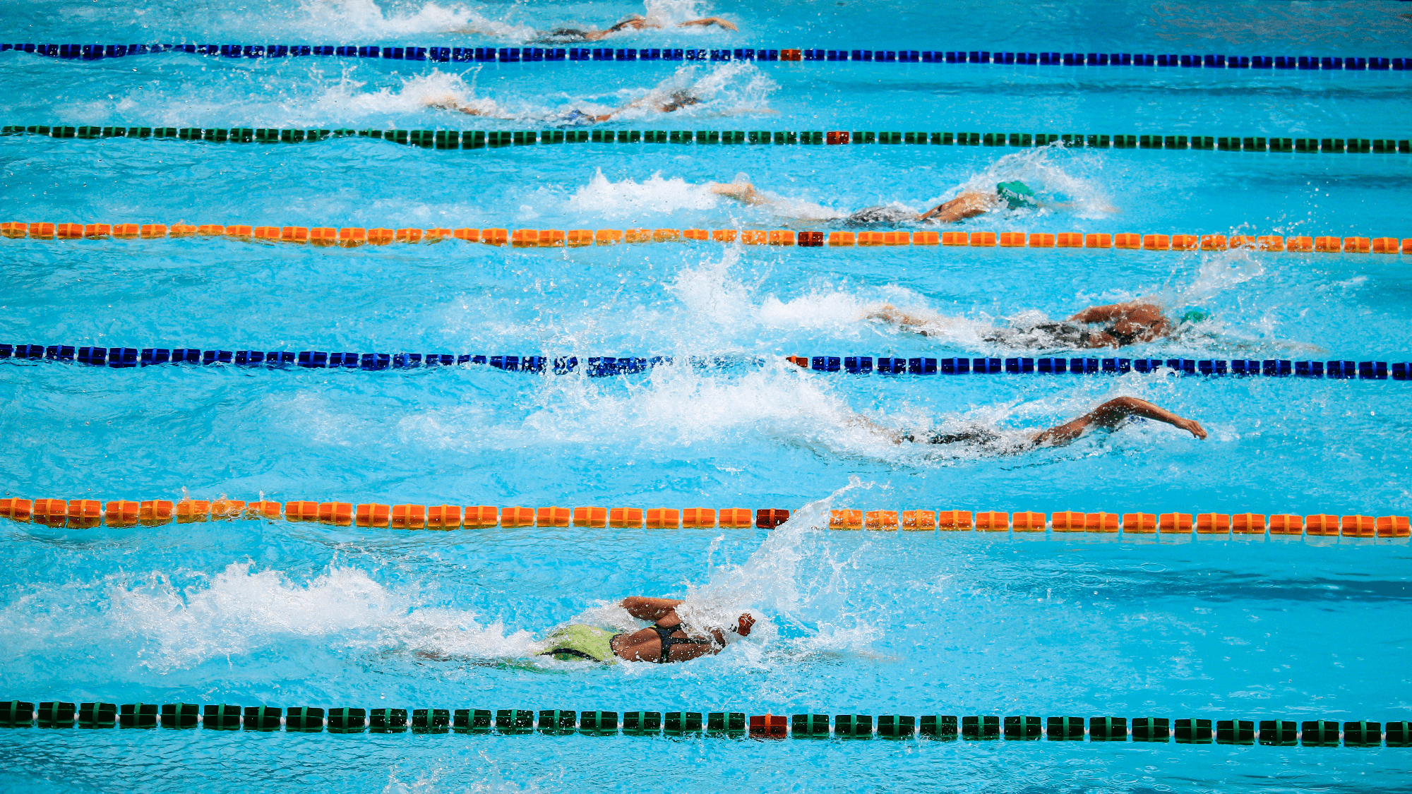 gut-muscle connection / a photo of swimmers swimming laps in the pool
