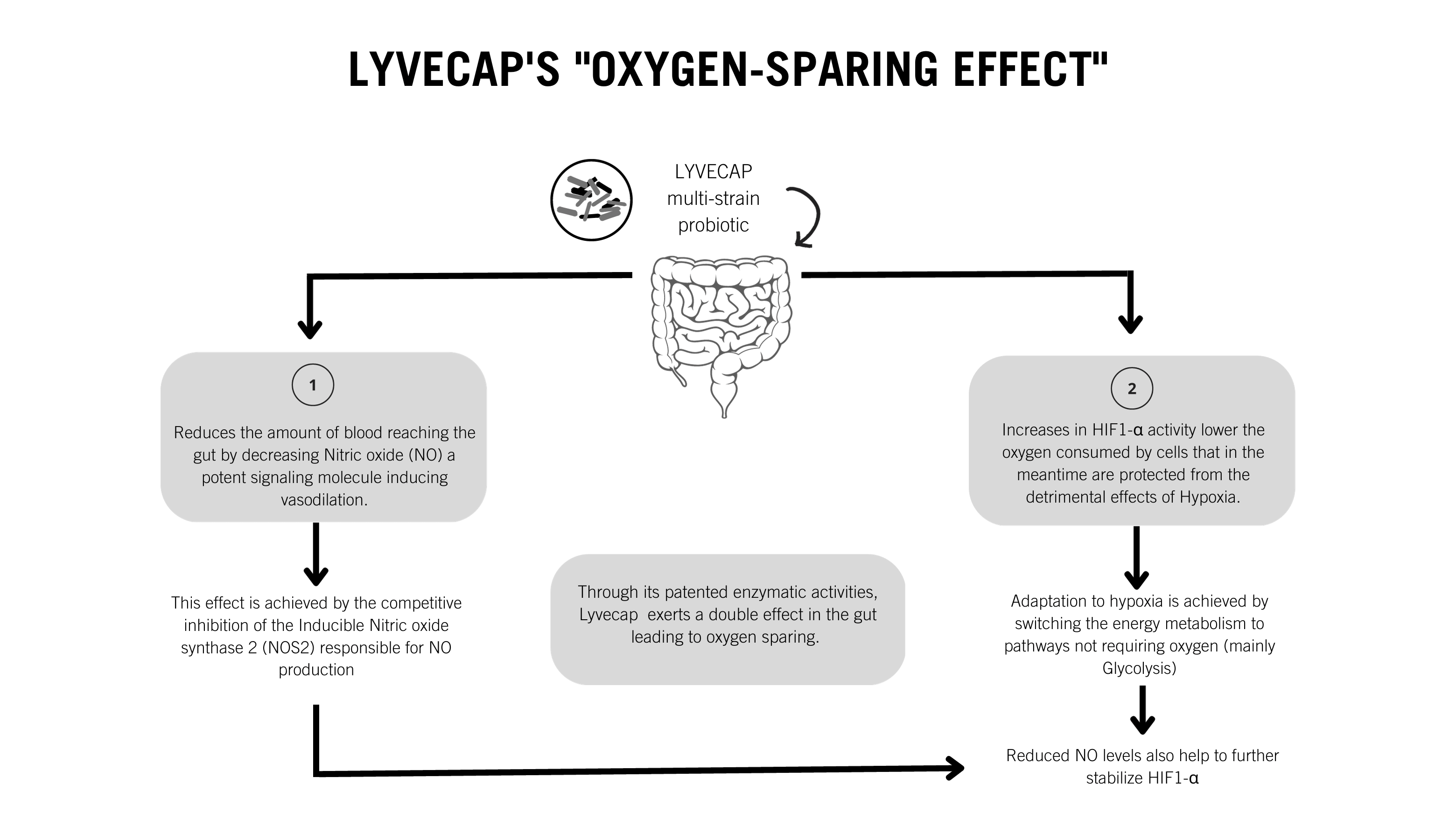A graph of Lyvecap probiotics unique oxygen-sparing effect 